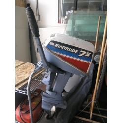 Evinrude Outboard Motor 1980  E8RCSS